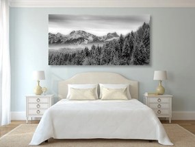 Εικόνα παγωμένων βουνών σε μαύρο & άσπρο - 120x60