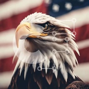 Intra Συλλεκτικό Ξύλινο Παζλ Plywood 4mm - Μεγαλοπρεπής αετός με αμερικανική σημαία Σε Ξύλινο Κουτί - Διαστάσεις: 10x10 cm – 25 κομμάτια