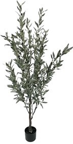 Διακοσμητικό φυτό Olive tree II σε γλάστρα Inart πράσινο pp Υ160εκ