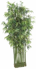 Supergreens Τεχνητό Μπαμπού Tallgrass Διαχωριστικό Πράσινο 200 εκ.
