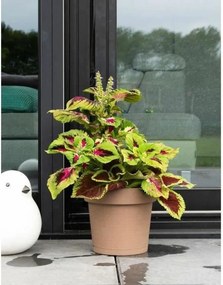 Αυτοποτιστικη Γλάστρα Garden ID Χρώμα Τεφρόχρουν