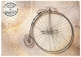 Φωτοταπετσαρία - Vintage bicycles - sepia 100x70