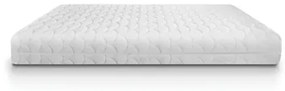 Ecosleep  Στρώμα Ύπνου Μονό Χωρίς Ελατήρια Ecosleep Waterlatex 90x200x20 (πλάτος 80-90 cm) BEST-20105231