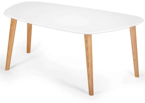Τραπέζι Σαλονιού Endocarp ENDOCARPCT1 110x66x45cm White