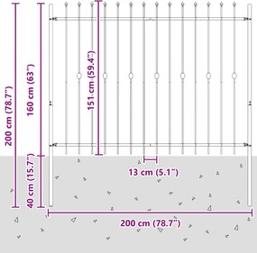 vidaXL Φράχτης με Σπίθες Μαύρο 200 x 200 cm