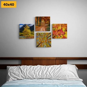 Σετ εικόνων με φθινοπωρινή φύση σε όμορφα χρώματα - 4x 40x40
