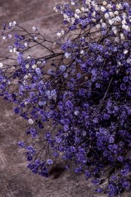 Stewehome Δέσμη αποξηραμένων λουλουδιών Μωβ