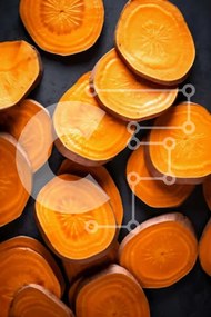 Intra Συλλεκτικό Ξύλινο Παζλ Plywood 4mm - Φέτες καρότου και κομμάτια γλυκοπατάτας σε ένα τραπέζι Σε Ξύλινο Κουτί - Διαστάσεις: 10x10 cm – 25 κομμάτια