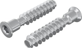 vidaXL Κεφαλή βίδας 2 pcs Ασημί M7 x 40 χλστ Ατσάλι