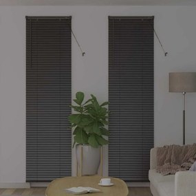 vidaXL Βενετσιάνικες Ρόδες Μαύρο 220 x 65 εκ Αλουμίνιο