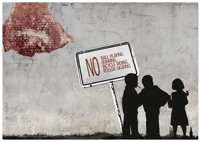 Φωτοταπετσαρία - NO ball playing... 250x175