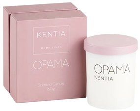 MOOD 25 ΟΡΑΜΑ ΑΡΩΜΑΤΙΚΟ ΚΕΡΙ DIAMOND SNOW - KENTIA