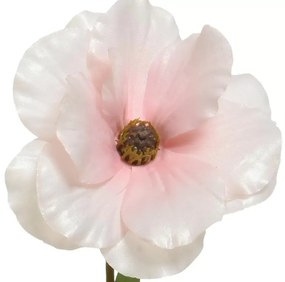 Beauty Home ΛΟΥΛΟΥΔΙ  67CM