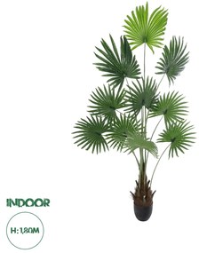 20972 GloboStar® Artificial Garden SERENOA PALM PLANT 20972 Διακοσμητικό Φυτό Φοίνικα Σερενόα Φ103 x Υ180cm