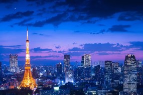 Φωτογραφία Tokyo night view, Takao Kataoka