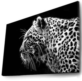 Πίνακας Καμβάς Με Φως Led 239SHN3293 70x45cm Black-White Wallity Οριζόντιοι Ξύλο, Καμβάς