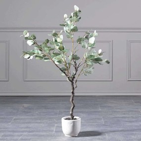 Τεχνητό Δέντρο Παχίρα 5440-6 70x123cm Green Supergreens Πολυαιθυλένιο,Ύφασμα