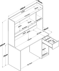 Γραφείο με Βιβλιοθήκη Καρυδί / Λευκό ECAR 120x50x166