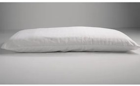 LATEX CLASSIC ΜΑΞΙΛΑΡΙ 50Χ70