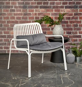 MELBY DIOMMI V-CH-MELBY-FOT-BIAŁY DIOMMI-60-21508