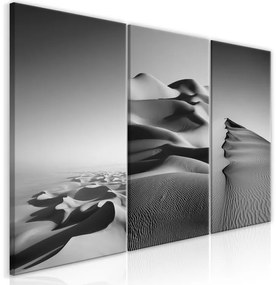 Πίνακας - Desert Landscape (Collection) - 120x60