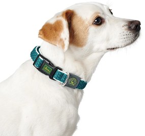 Κολλάρο Σκύλου Hunter Vario Basic Νήματα Τυρκουάζ 20