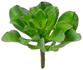 Supergreens Τεχνητό Χωνευτό Παχύφυτο "Veggie" Πράσινο 16 εκ