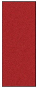 vidaXL Χαλάκι Εξώπορτας Κόκκινο και Μαύρο 120 x 300 cm