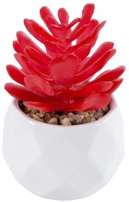 Τεχνητό Φυτό Σε Κασπώ Crassula 20985 Φ6x10cm Red-White GloboStar Πηλός,Πολυαιθυλένιο