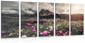 5 μέρη εικόνα λιβάδι ανθισμένα λουλούδια - 100x50