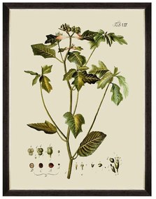 Κάδρο Botanical IV FA13227 60x80cm Green MindTheGap Vertical Wood