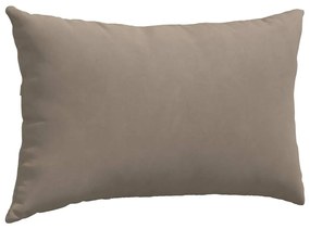 vidaXL Μαξιλάρι Καναπέ 2 pcs Taupe 50 x 30 cm ύφασμα