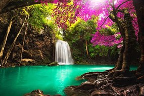 Φωτογραφία Waterfall in autumn forest, Busakorn Pongparnit