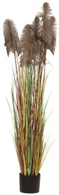 Φυτό Pampas 85072 23x220cm Brown-Green Πλαστικό