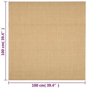 vidaXL Χαλί 100 x 100 εκ. από Φυσικό Σιζάλ