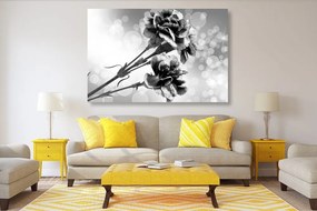 Εικόνα λουλουδιού γαρύφαλλου σε ασπρόμαυρο - 60x40
