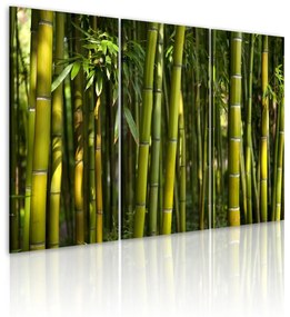 Πίνακας - Green bamboo  60x40