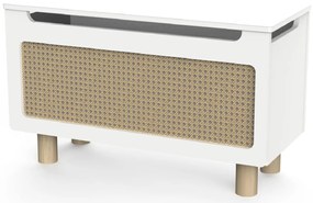 Κουτί αποθήκευσης Hona