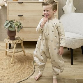 Χειμερινός Υπνόσακος Με Πόδια 2.5 Tog (9-18 Μηνών) Meyco Penguin