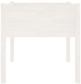 Ζαρντινιέρα Λευκή 70 x 70 x 70 εκ. από Μασίφ Ξύλο Πεύκου - Λευκό