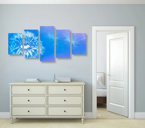 Εικόνα 5 μερών Πικραλίδα σε μπλε φόντο
