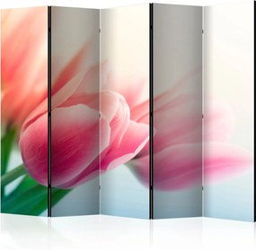 Διαχωριστικό με 5 τμήματα - Spring and tulips II [Room Dividers]