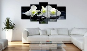 Πίνακας - Melancholic orchids 100x50