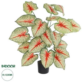 Artificial Garden CALADIUM PLANT 20921 Διακοσμητικό Φυτό Καλάντιουμ Φ75 x Υ80cm Globostar 20921