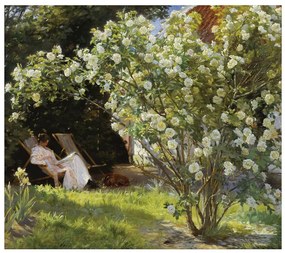 Εκτύπωση τέχνης Marie in the Garden (The Roses), Peder Severin Kroyer