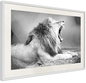 Αφίσα - Yawning Lion - 45x30 - Χρυσό - Χωρίς πασπαρτού