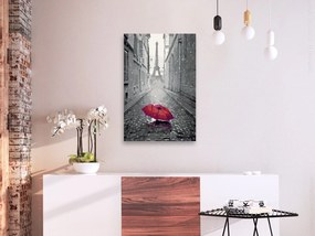 Πίνακας για να τον ζωγραφίζεις - Paris (Red Umbrella) 40x60