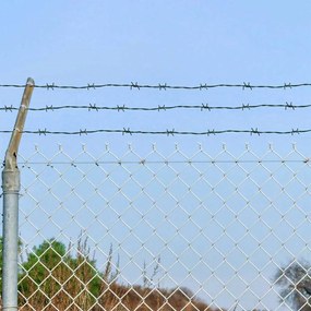 vidaXL Αγκαθωτό Σύρμα Πράσινο 50 m