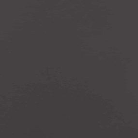 vidaXL Περίγραμμα γκαζόν 30 pcs Μαύρο 100 x 0,05 x 15 εκ