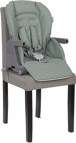 BABY HIGH CHAIR 3in1CHEF GREEN LEATHER